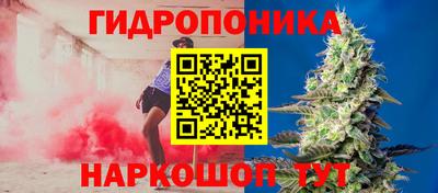 амф Ликино-Дулёво