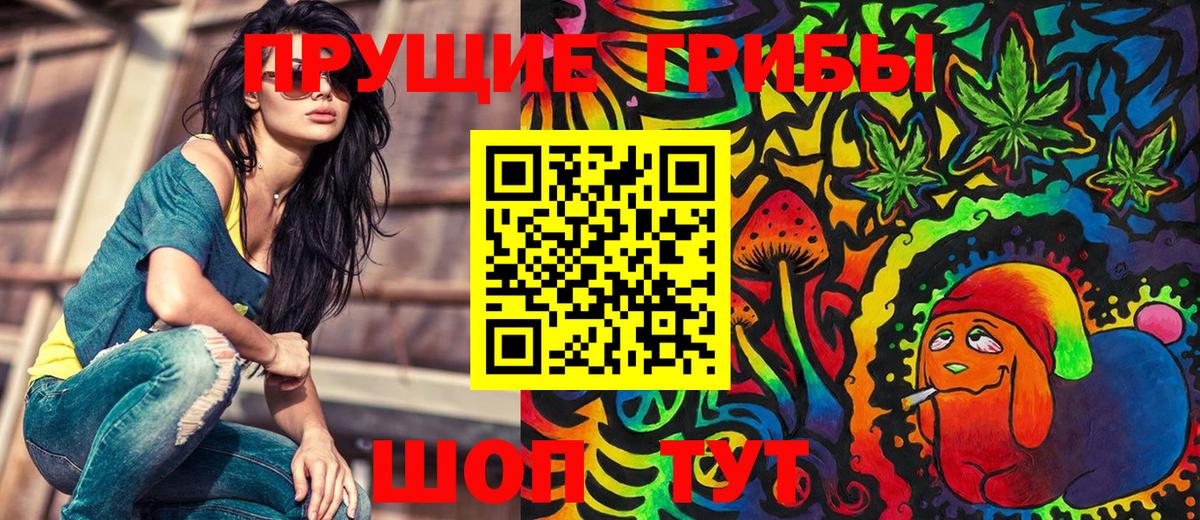 Псилоцибиновые грибы Psilocybe Заволжье