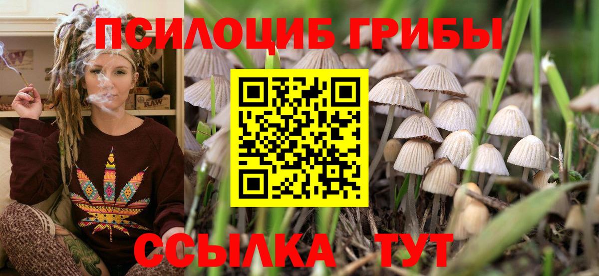 Псилоцибиновые грибы мухоморы  Вход с VPN  Заволжье 