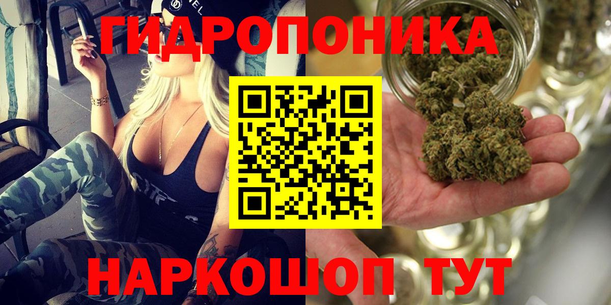 Заволжье  Бошки Шишки VHQ  Марихуана сатива  Вход с VPN 